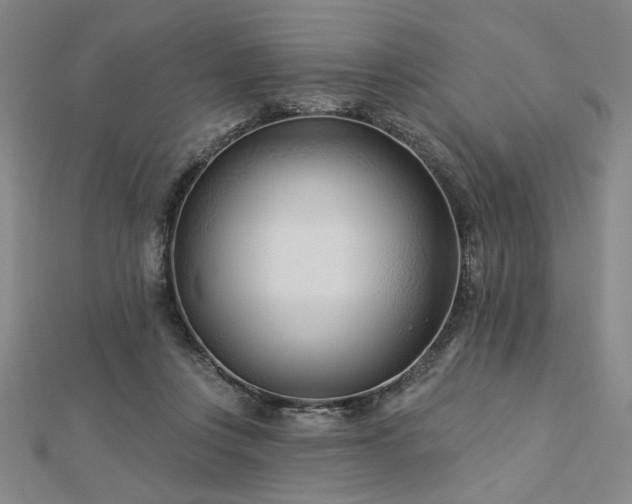 X0000113000359200908271352