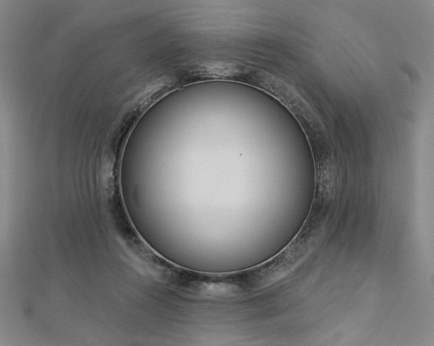 X0000113000360200908271352