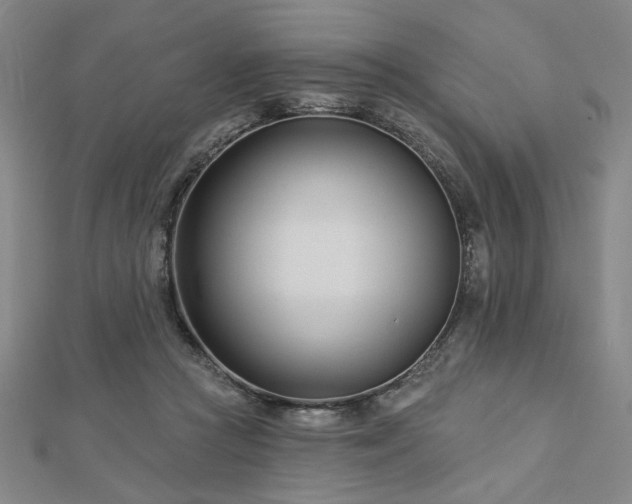 X0000113000361200908271352