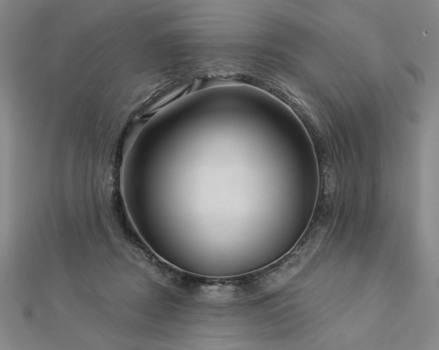 X0000113000362200908271352