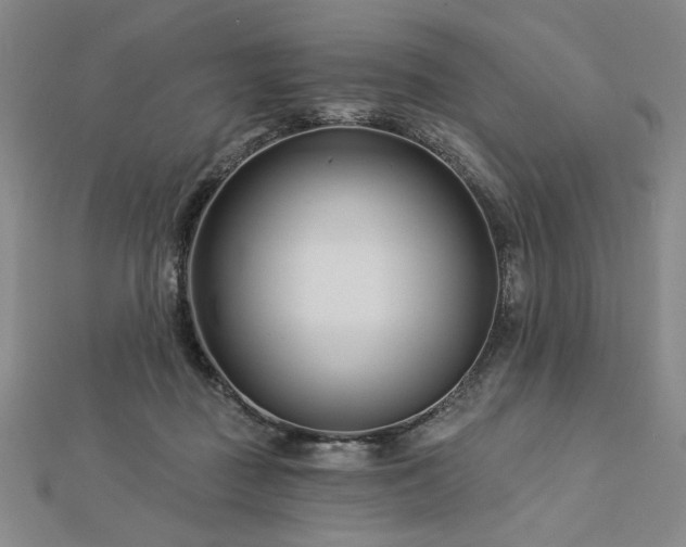 X0000113000363200908271352