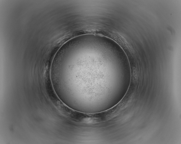 X0000113000364200908271352
