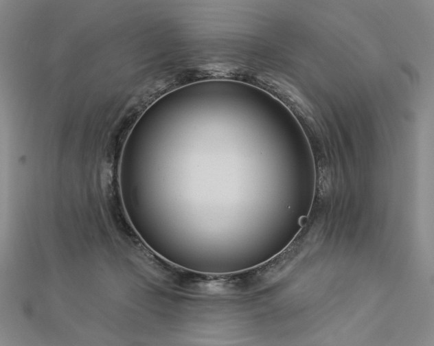 X0000113000365200908271352