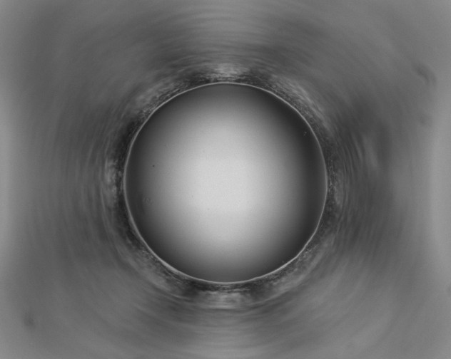 X0000113000366200908271352
