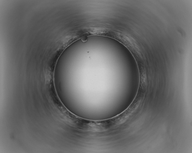 X0000113000367200908271352