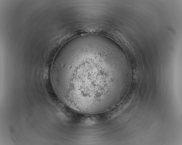 X0000113000368200908271352