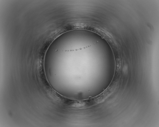 X0000113000369200908271352