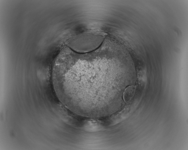X0000113000372200908271352