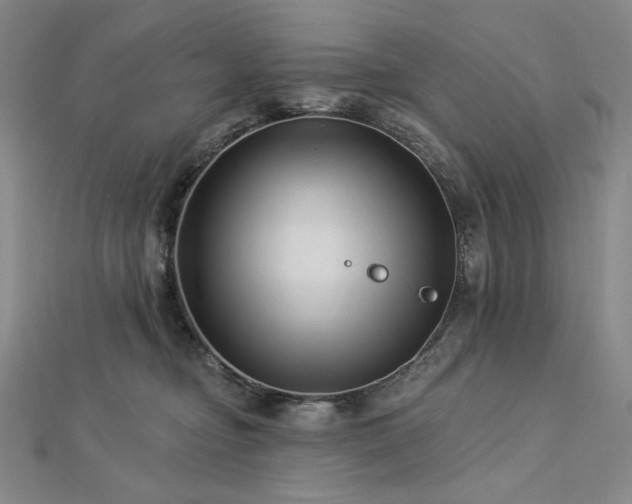 X0000113000374200908271352