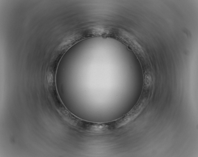 X0000113000375200908271352