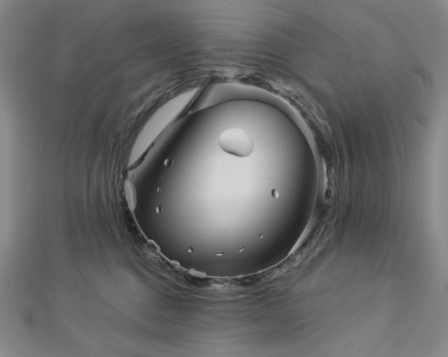 X0000113000376200908271352