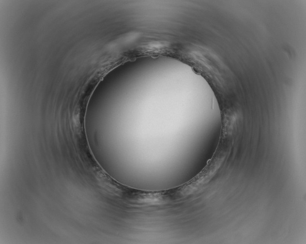 X0000113000377200908271352
