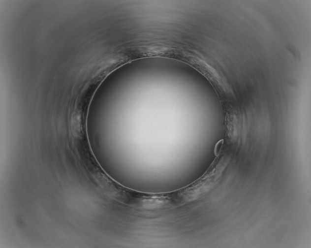 X0000113000378200908271352