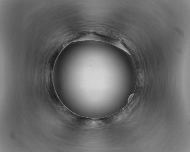 X0000113000379200908271352