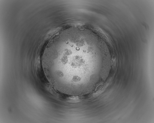 X0000113000381200908271352