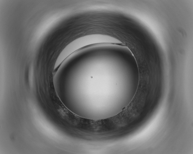X0000113000382200908271352