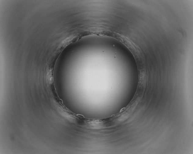 X0000113000383200908271352