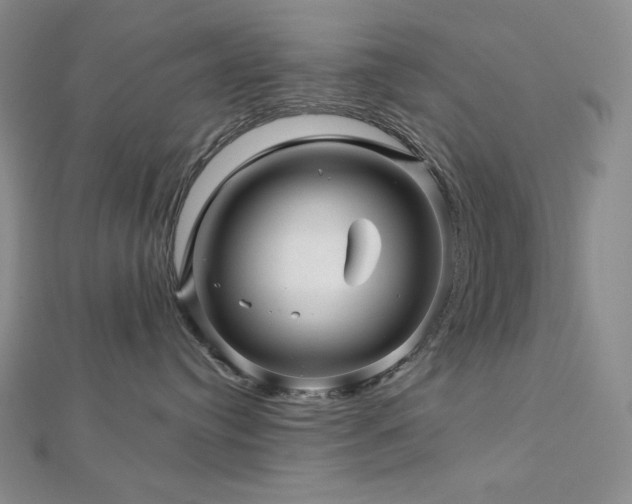 X0000113000384200908271352