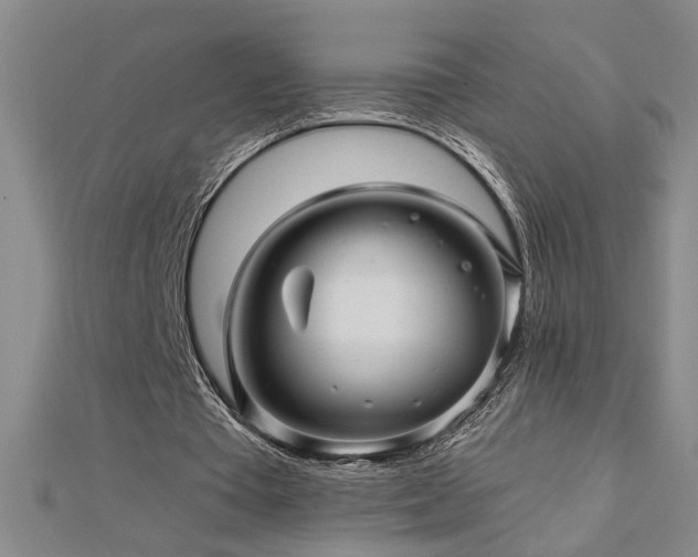 X0000113000385200908271352