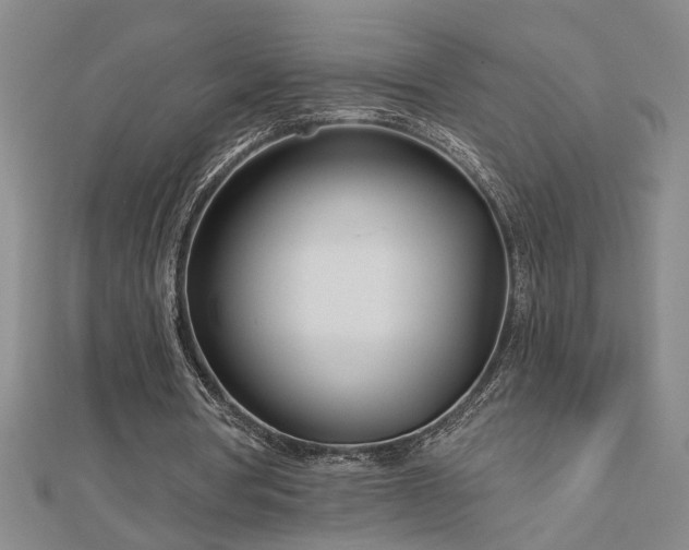 X0000113000386200908271352