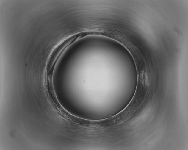 X0000113000388200908271352