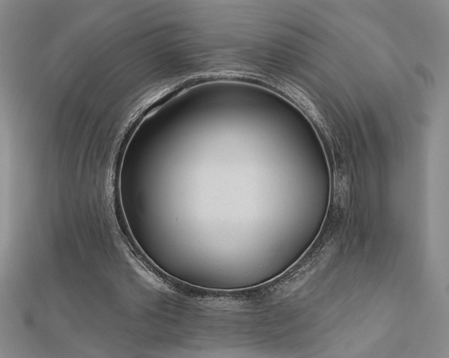 X0000113000389200908271352