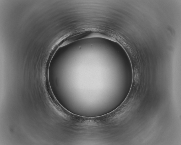 X0000113000390200908271352