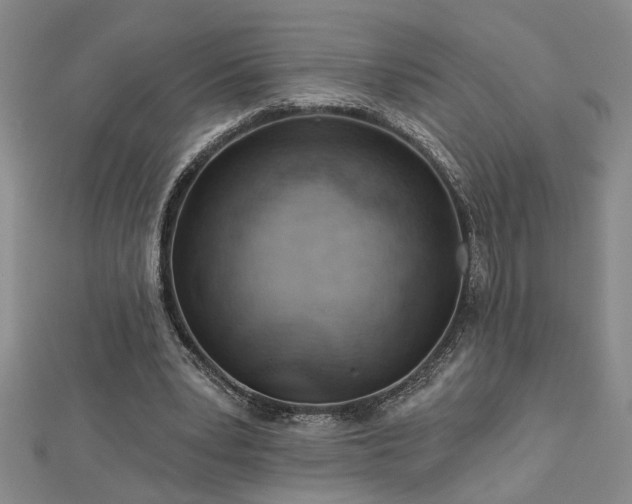 X0000113000391200908271352