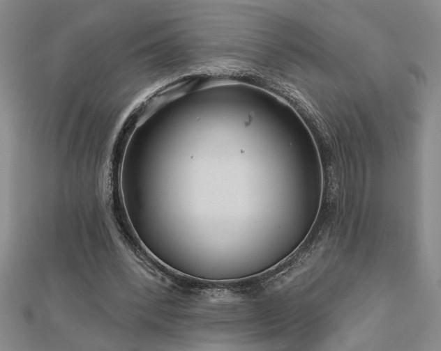 X0000113000392200908271352