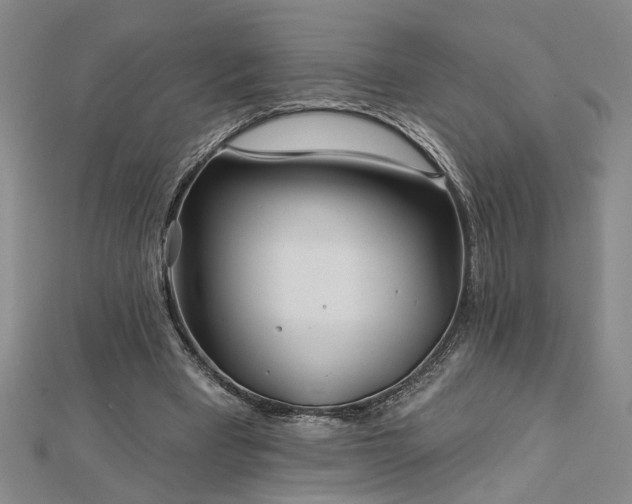 X0000113000393200908271352