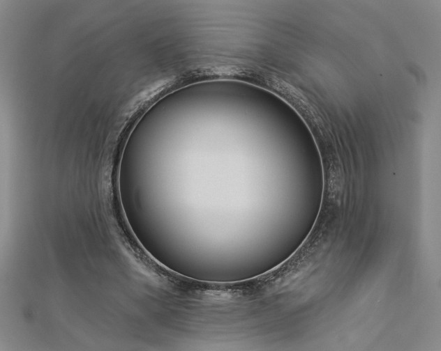 X0000113000394200908271352