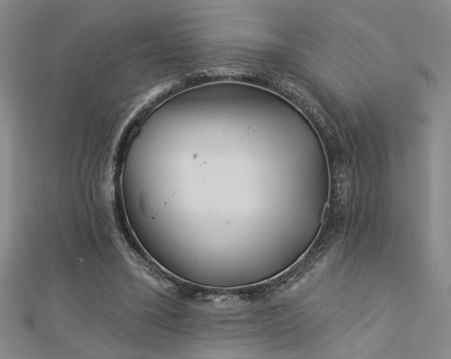 X0000113000395200908271352