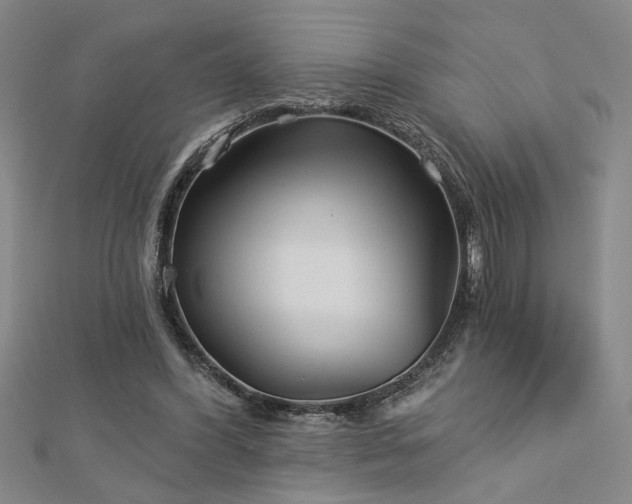 X0000113000396200908271352