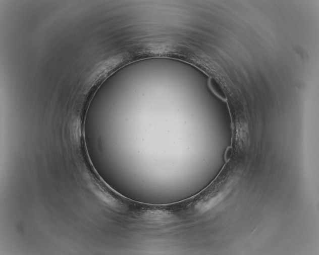 X0000113000397200908271352