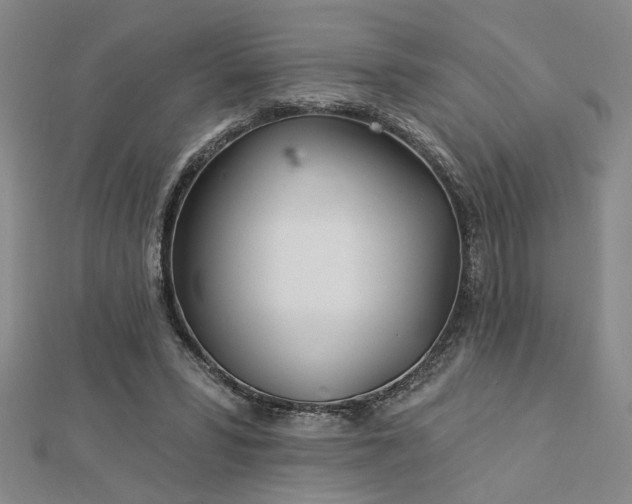 X0000113000399200908271352