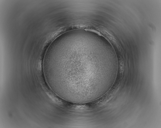 X0000113000401200908271352