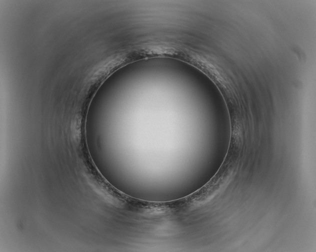 X0000113000402200908271352