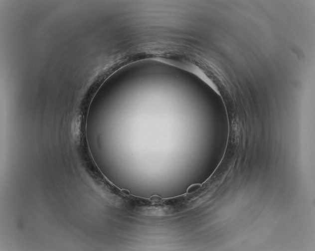 X0000113000404200908271352