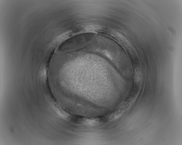X0000113000405200908271352
