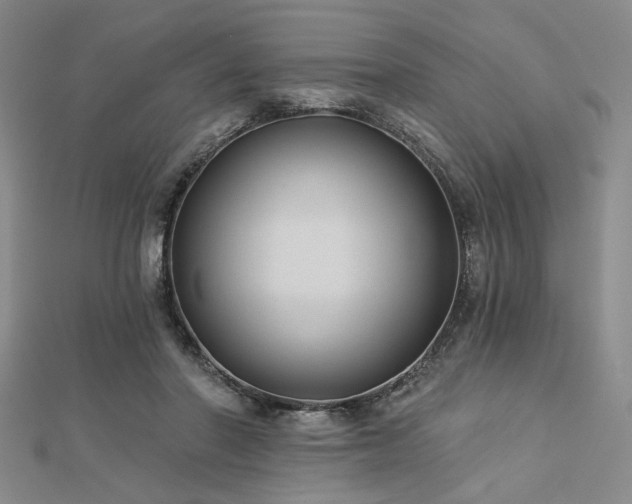 X0000113000406200908271352