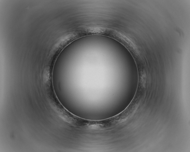 X0000113000407200908271352