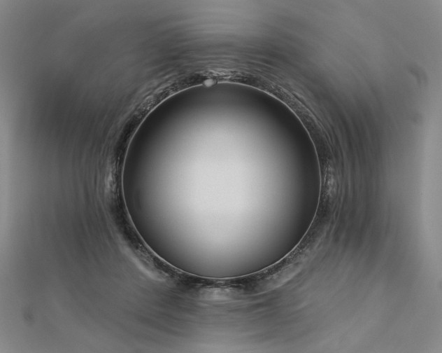 X0000113000408200908271352