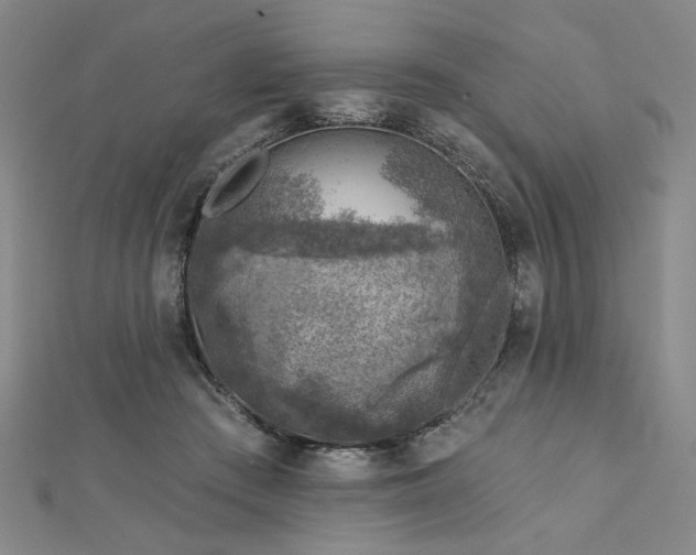 X0000113000409200908271352