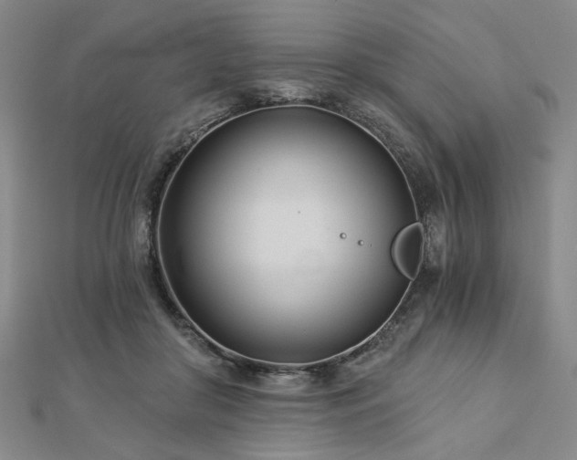 X0000113000410200908271352