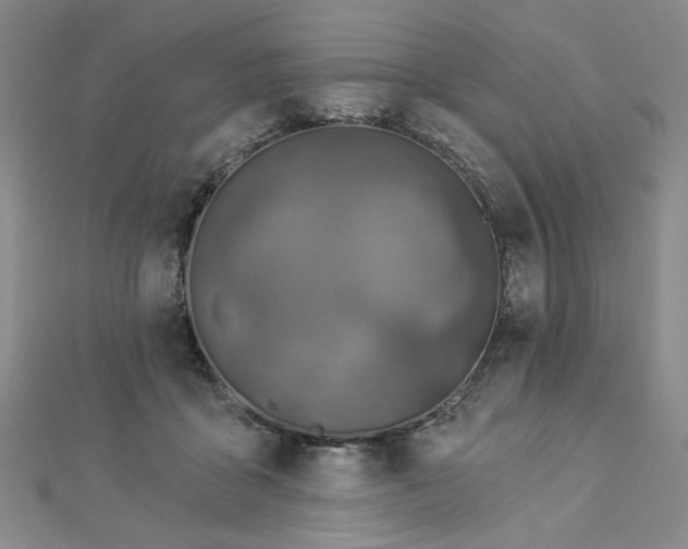 X0000113000411200908271352