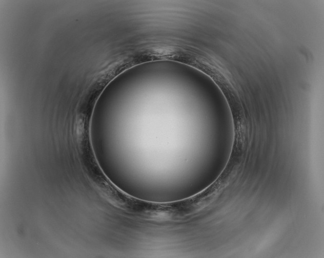 X0000113000412200908271352