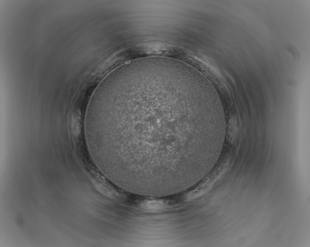 X0000113000413200908271351