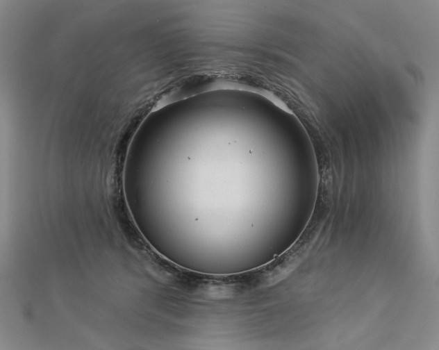 X0000113000416200908271351
