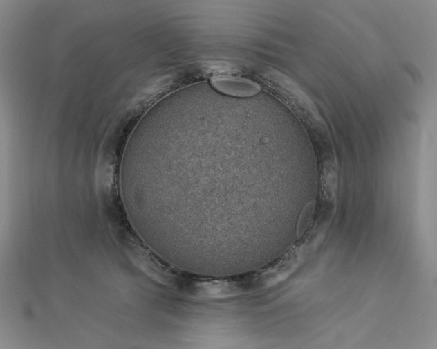 X0000113000417200908271351