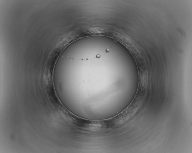 X0000113000418200908271351